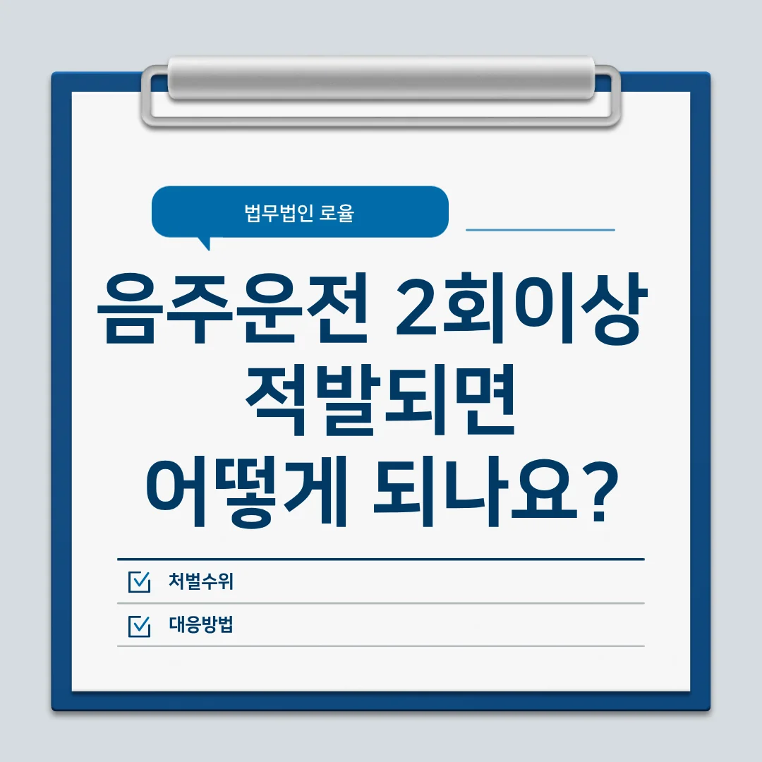 부산 형사 전문 변호사 음주운전 재범 구속 위기 대응 전략 — 법률사무소 로율 형사 블로그