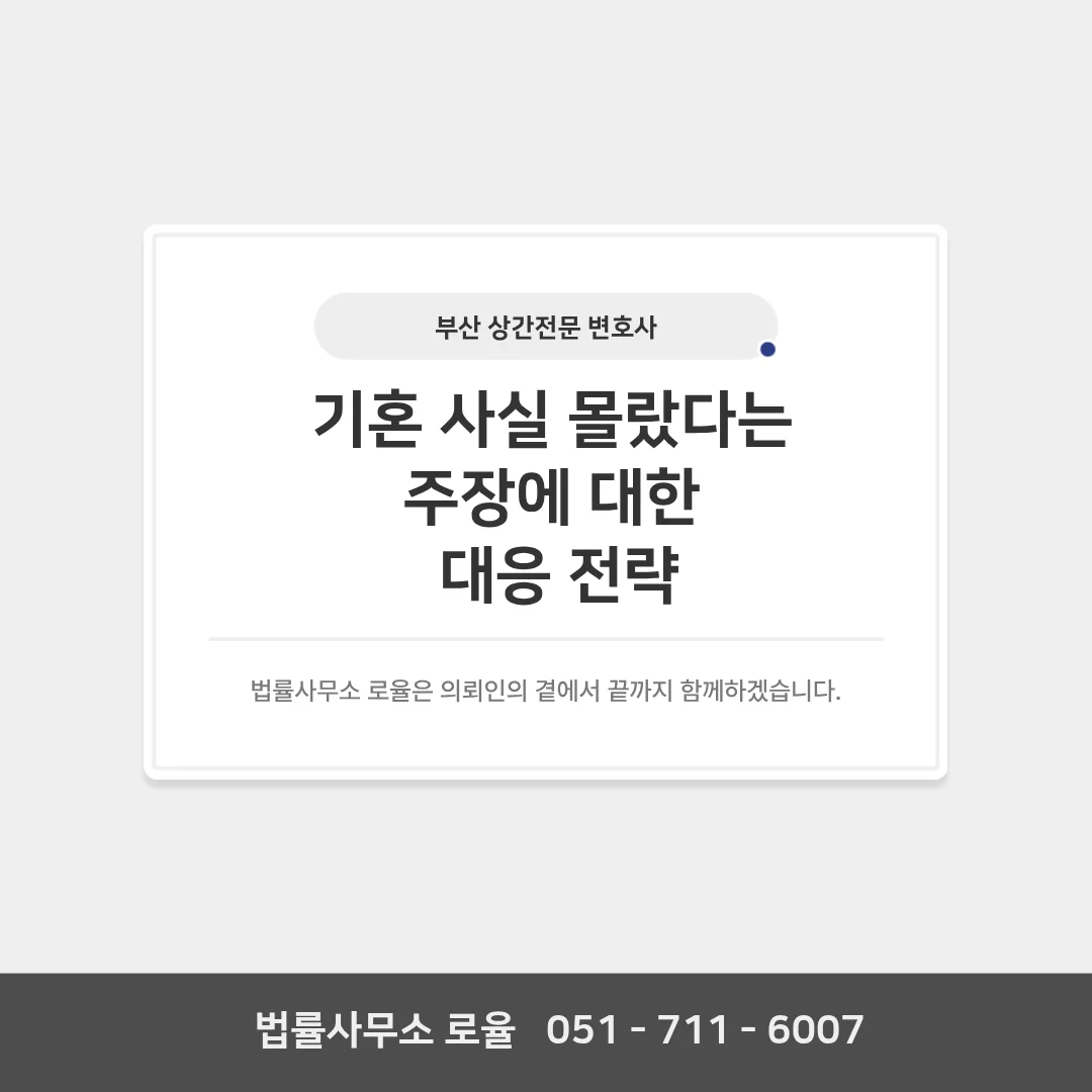 부산 이혼 전문 변호사가 알려주는 상간소송 기혼 사실 입증 전략 — 법률사무소 로율 이혼 블로그